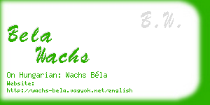 bela wachs business card